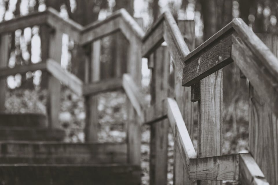 From triage to treatment plan: Building shared understanding